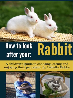 cover image of How to Look After Your Rabbit
